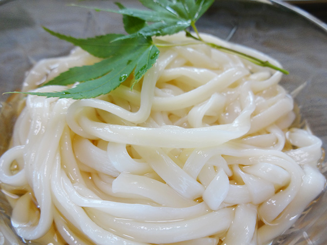 手延べ半生美しめん 細うどん 5 有限会社カネスエ製麺所
